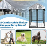 Extra Large Dog Kennel Cage.         