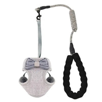 Elegant Bowknot Cat Harness and Leash Set