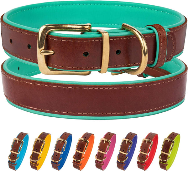 Professional title: "Soft Padded Leather Dog Collar with Brass Buckle in Mint Green - Suitable for Small to Large Breeds (Neck Fit 19"-21")"