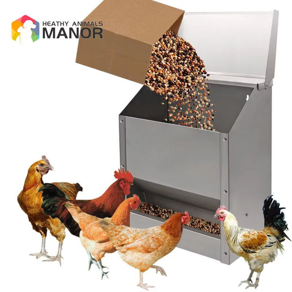 Premium 10L Stainless Steel Poultry Feeder and Water Trough - Ideal for Chickens, Quails, Pigeons, and Ducks