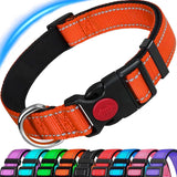 Reflective Adjustable Dog Collar with Neoprene Padding for Small Dogs