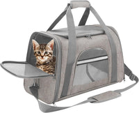 Small Pet Travel Carrier - Airline Approved, Collapsible, Soft-Sided - Ideal for Cats and Small Dogs