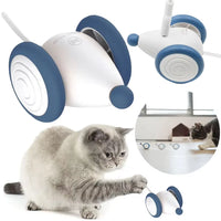 Interactive USB Charging Electric Moving Cat or Small Dog Toy 