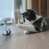 Interactive USB Charging Electric Moving Cat or Small Dog Toy 