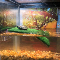 "Grassy Turtle Basking Platform - Perfect for Small Reptiles and Frogs (Medium)"