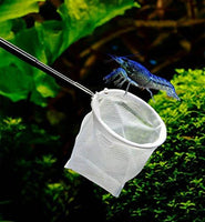 Professional Product Title: 
"Fine Mesh Fish Shrimp Skimming Net with Extendable Stainless Steel Handle for Aquariums, Fish Tanks, Ponds, and Creeks"