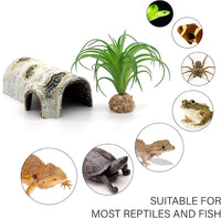 Natural Birch Tree Bark Reptile Hide & Cave Habitat - Perfect for Lizards, Geckos, Snakes, Spiders, Frogs, & Turtles 