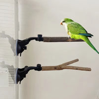 Ultimate Parrot Perch & Suction Cup Bird Toy - Premium Wood Stand Accessories