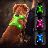 Premium LED Dog Harness - Rechargeable Reflective Vest for Small to Large Dogs 