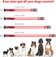 Professional title: "Small Size Red USB Rechargeable LED Dog Collar with Adjustable Brightness"