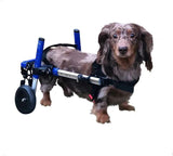 "Veterinarian Approved Dachshund Wheelchair for Small Dogs 2-30+ Pounds - Support Your Pup's Mobility!"