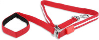 Blazin' Safety LED Dog Leash - 6 Ft USB Rechargeable & Waterproof - Keep Your Pup Safe in Style!