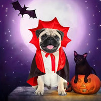 "Spooktacular Medium Dog Halloween Costumes - Vampire Cloak & Devil Outfit for Dogs!"