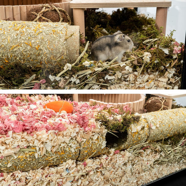 Build Your Own Unique T-Shape Hamster Tunnel - Perfect DIY Hideout for Small Pets!