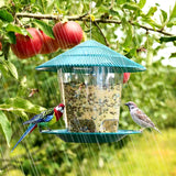 Deluxe Automatic Outdoor Bird Feeder - Hanging Wild Bird Seed Dispenser for Your Garden