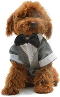 Formal Tuxedo Pet Costume with Black Bow Tie for Small Dogs and Cats - Gray (XS)