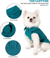 Handsome Dog Polo Shirt - Stylish T-Shirt for Small & Medium Boys, Perfect for All Seasons (Blue, XS)