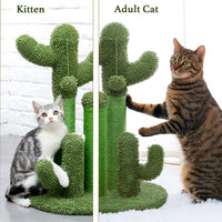 23" Cactus Cat Scratching Posts                       Medium Sisal Cat Scratcher,Green