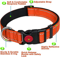 Reflective Adjustable Dog Collar with Neoprene Padding for Small Dogs