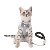 Elegant Bowknot Cat Harness and Leash Set