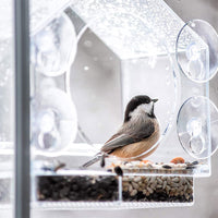 Smart Bird Feeder with Live Camera - Capture Nature's Beauty with Bird Buddy