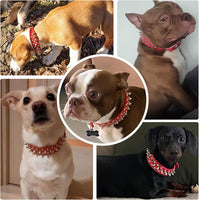 Adjustable Spiked Studded Leather Collar for Dogs and Cats - Red (Small)