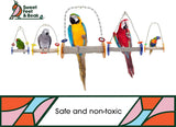 "Swinging Pumice Perch Bird Toy for Trimming Nails and Beaks - Safe and Non-Toxic Cage Accessory for Small and Large Birds, 10.5 Inches"