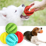 Durable & Interactive Natural Rubber Dog Toys