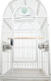 Luxury Parrot Palace: Elegant Small Cage for Parakeets, Canaries, Cockatiels, and Lorikeets