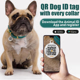 Professional Title: "Small Dog and Cat Leather Collar with QR ID Tag, Dark Brown & Gold Buckle, 7-9 Inch"