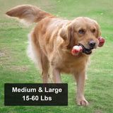 Indestructible Dog Toys for Aggressive Chewers - Interactive Bone Toy for Large & Medium Dogs 