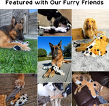 "Durable Squeaky Dog Toys: Double Layered Fabric, No Stuffing, Perfect for Small to Large Dogs"