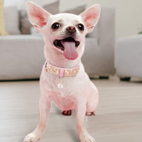 Pink Color Dog & Cat Collar  with Leather Leash, [Bling Rhinestones] 