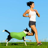 Vibrant Summer Dog T-Shirt Set - 8 Soft & Breathable Colors for Your Puppy - Size S