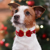 Festive Adjustable Christmas Dog Collar with Antler Bow Tie. 