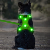 Premium LED Dog Harness - Rechargeable Reflective Vest for Small to Large Dogs 