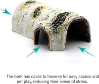 Natural Birch Tree Bark Reptile Hide & Cave Habitat - Perfect for Lizards, Geckos, Snakes, Spiders, Frogs, & Turtles 