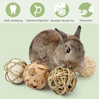 Small Animal Play and Activity Balls for Rabbits, Guinea Pigs, and Chinchillas