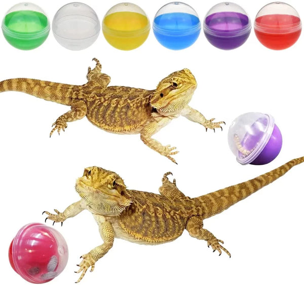 "Interactive Feeding Toys for Bearded Dragons and Small Reptiles - Set of 6"