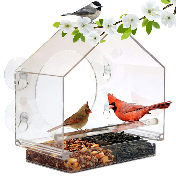 Smart Bird Feeder with Live Camera - Capture Nature's Beauty with Bird Buddy