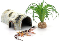 Natural Birch Tree Bark Reptile Hide & Cave Habitat - Perfect for Lizards, Geckos, Snakes, Spiders, Frogs, & Turtles 