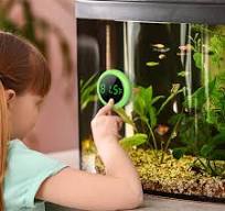 Digital Aquarium Thermometer | Precise 3D Fish Tank Temperature Monitor