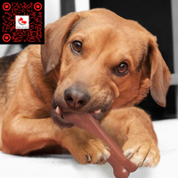 Original Power Chew Dog Toy, Durable Chew for Aggressive Chewers, Bacon & Chicken Flavor