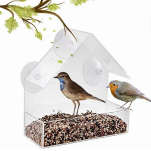 Clear Acrylic Window-Mounted Bird Feeder
