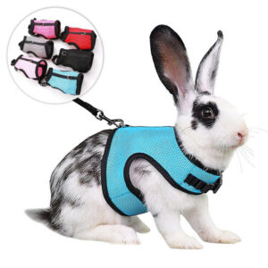 Adjustable Harness & Leash Set for Rabbits and Guinea Pigs