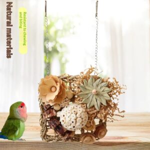 Natural Parrot Foraging Ball Toy